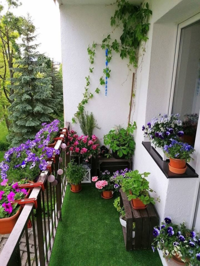 Kitchen & Balcony Gardening