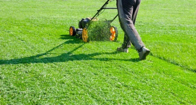 Lawn Care & Maintenance